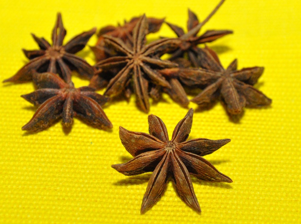 ANIS ESTRELADO, GRACIOSO E PERFUMADO!